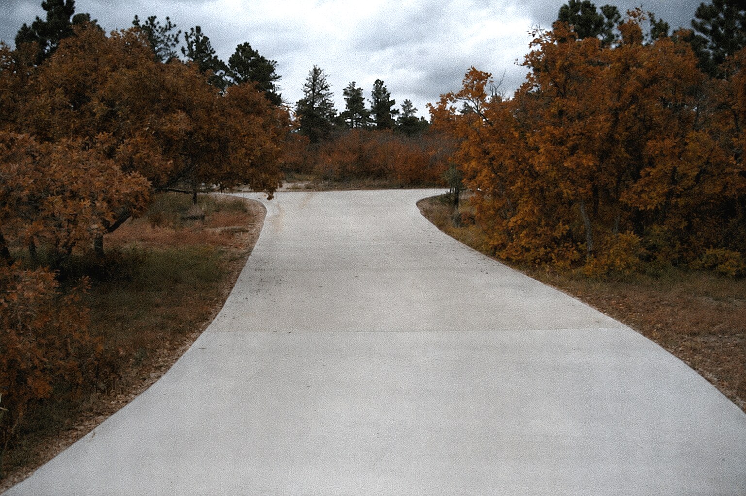 Long light-gray concrete driveway through autumn trees in Colorado Springs.