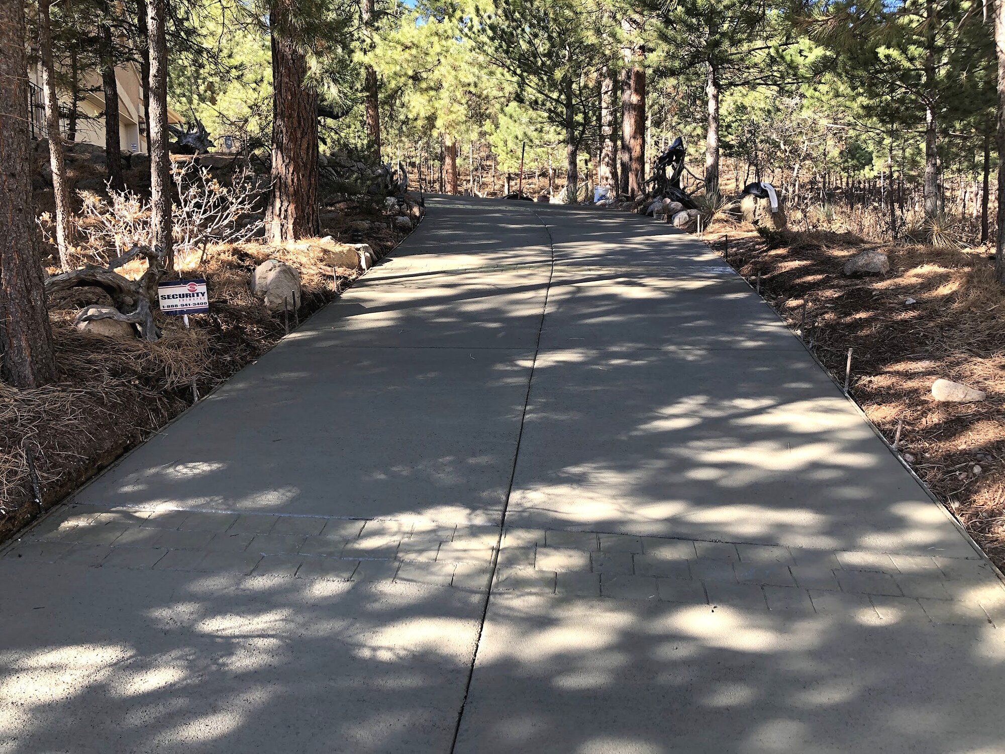 Gray concrete driveway winding through pine trees in Colorado Springs.